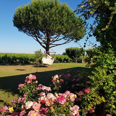 مبيت وإفطار Liré Entre Loire Et Vignobles المظهر الخارجي الصورة