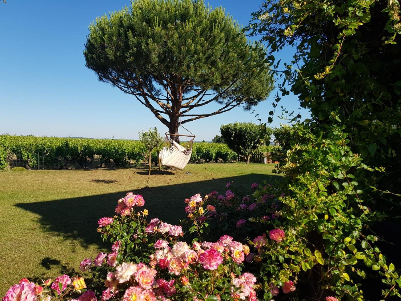 مبيت وإفطار Liré Entre Loire Et Vignobles المظهر الخارجي الصورة